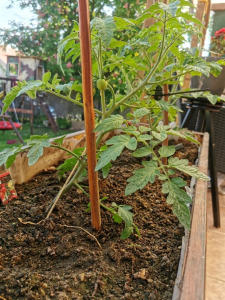 LSH Garden Box KID magaságyás gyalulás nélkül
