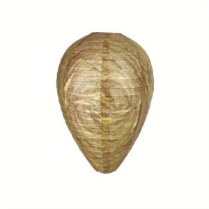 Természetes darázscsapda - mélyzöld