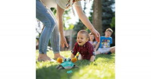 Úszó és sétáló rákocska