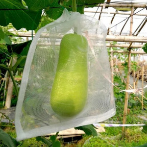 Termés védőháló - kártevők ellen (50db) - 10*15cm