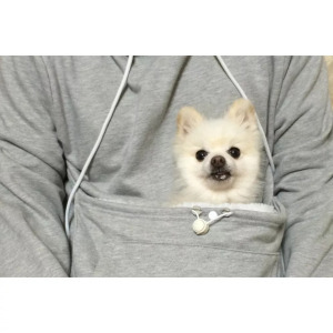 Macskahordozó, cicahordozó pulcsi, S