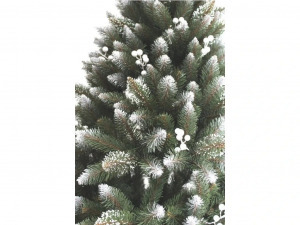 Lucfenyő fehérberkenyével - 220cm