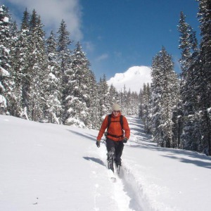 Alacsony-Tátra hótalpas túra