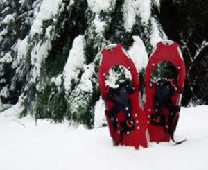 Alacsony-Tátra hótalpas túra