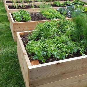 Lsh garden box magaságyás 300x80x30 cm
