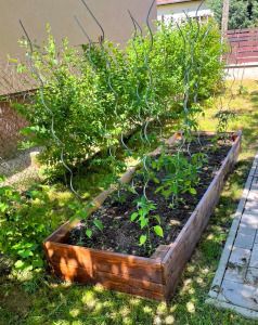 Lsh garden box magaságyás 300x80x30 cm