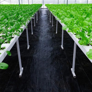 Gyommentesítő agrotextil, geotextil 1,6x100m, fekete
