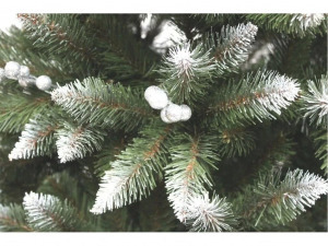 Lucfenyő ezüstberkenyével - 180cm