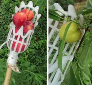 Gyümölcsszedő fej, narancs