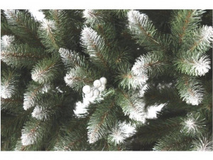 Lucfenyő ezüstberkenyével - 220cm