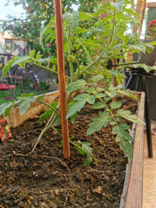 LSH Garden Box KID magaságyás (gyalult)