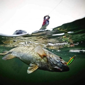 Halmágnes műcsali narancs