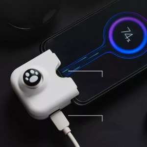 Játék kontroller (Type-C) fehér