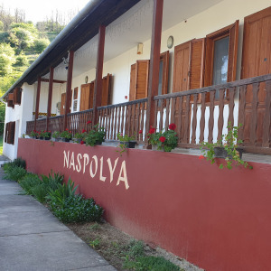 Naspolya panzió, Bátaapáti -3 nap 2 éj 2 fő részére, teljes ellátással