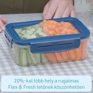 Livington Flex & Fresh frissentartó dobozok, 2 szett