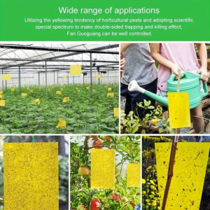 Ragacsos rovarfogó papír, 10 db