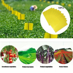 Ragacsos rovarfogó papír, 10 db