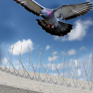 Garden Line madárriasztó tüske 50 cm