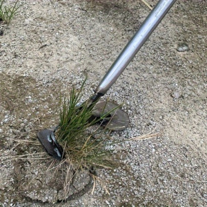 Strapabíró, multifunkcionális kerti gyomláló és átültető eszköz