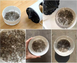 Fotokatalitikus rovarcsapda és szúnyogírtó - USB csatlakozóval MS-218