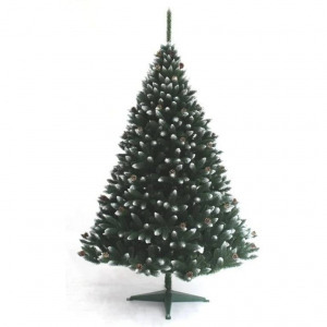 Ezüstfenyő fehér tobozzal - 220cm
