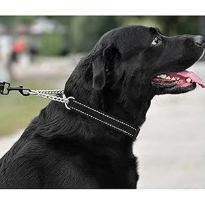 Doggy félfojtó nyakörv - 45-64 cm