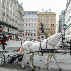 Fedezd fel Bécset!Városnézés & shoppingolás 3 nap 2 éj 2+2 fő reggeli