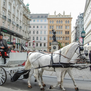 Fedezd fel Bécset!Városnézés & shoppingolás 3 nap 2 éj 2+2 fő reggelivel Fedezd fel Bécset!Városnézés & shoppingolás 3 nap 2 éj 2+2 fő reggelivel