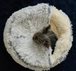 Plüss kerek kapucnis kisállatágy szürke - M 50cm